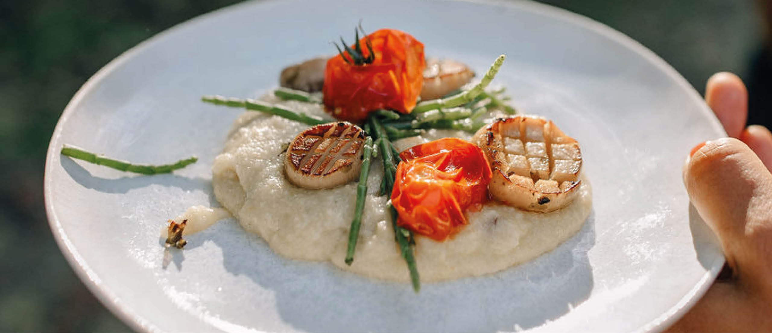 Vegan coquilles op romige polenta